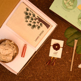 Seed Rakhi For Brother With Planter, 1 Diary & Pen (Red)